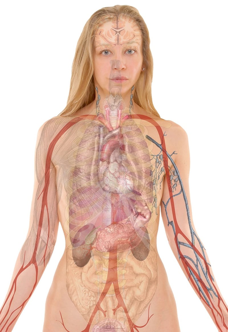 Lung Capacity Exercises